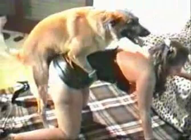 Video :Zoophilia porn tube of big tits girl having dog sex